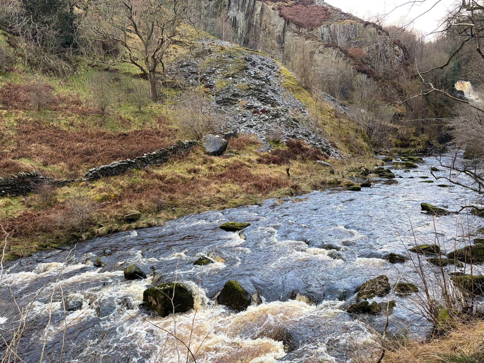 River in the Thames Water region